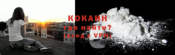дживик Семилуки