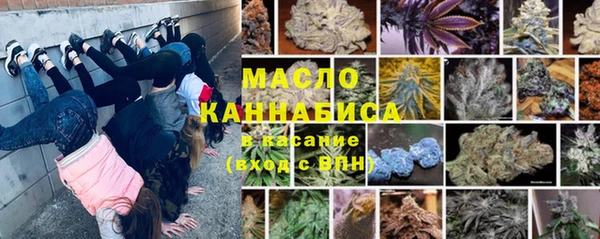 мет Алексин