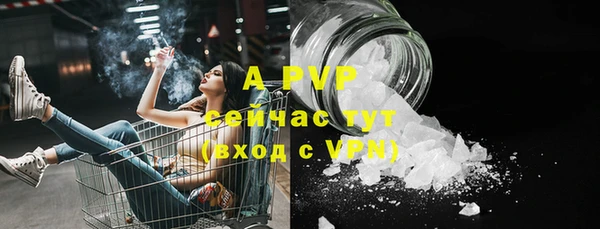 винт Алзамай