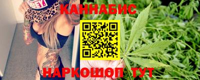 хмурый Шелехов
