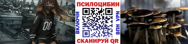 что такое   Белебей  blacksprut зеркало  Галлюциногенные грибы Cubensis 